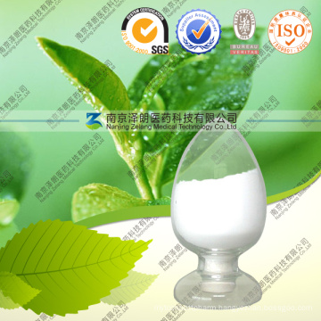 Natural Tea Saponins 98% HPLC Green Tea Extract